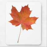 Fallen Leaf 01 mousepads