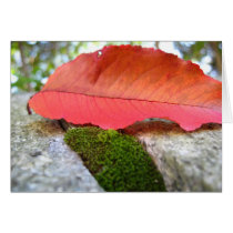 Fallen Leaf cards by litabug Fallen Leaf cards