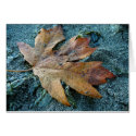 Fallen Leaf cards