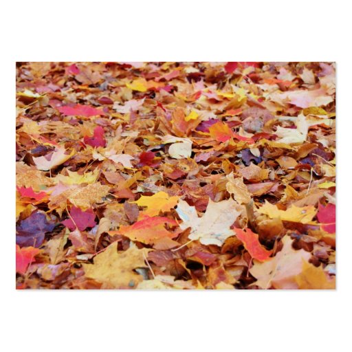 Fallen Leaves in Autumn Business Card (front side)
