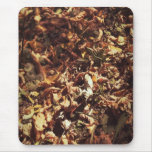 Fallen Leaves mousepads