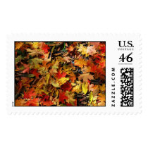 Fallen Leaves postage