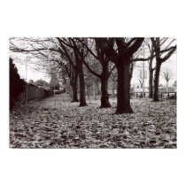 Fallen Leaves posters by loopylisa Fallen Leaves posters
