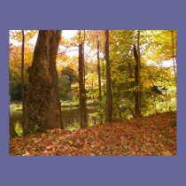 Fallen Leaves posters