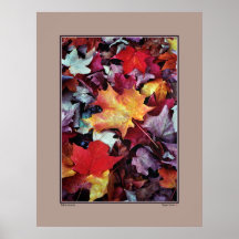 Fallen Leaves Print