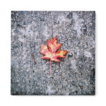 Fallen Refrigerator Magnet