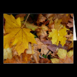 Fallen Maple Leaves Card (Blank Inside)