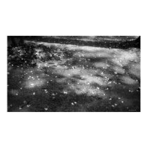 Fallen Petals poster posters
