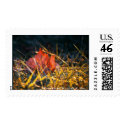 Fallen postage by rachelohl Fallen postage