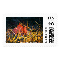 Fallen postage