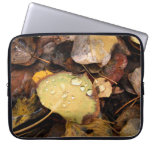 Fallen Splendor Laptop Computer Sleeves