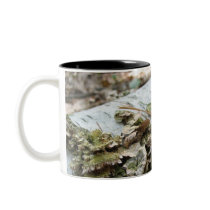 Fallen Tree mugs