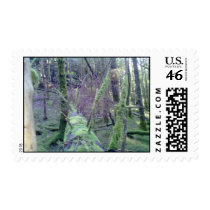 Fallen Tree Postage Stamps