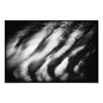 fallen vultures photograph