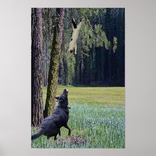 FALLING CAT POSTER