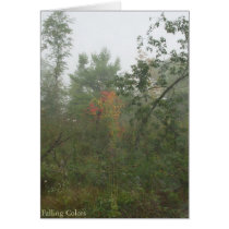 Falling Colors cards by RStaal Falling Colors cards