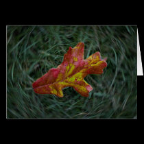 "Falling" Fall Leaf Spinning Unique Greeting Cards cards
