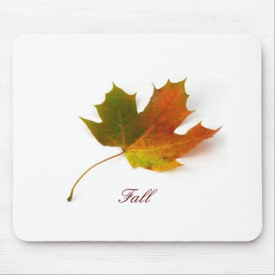 Leaf Falling