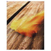 Falling Leave Flyer