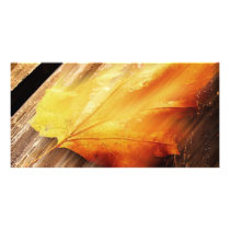 Falling Leave photo cards
