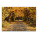 Falling Leaves cards