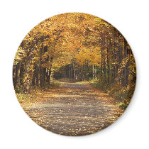 Falling Leaves Fridge Magnet