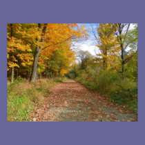 Falling Leaves posters