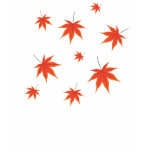 Falling Maple Leaves T-shirt