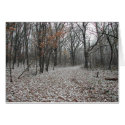 Falling Snow cards by nbrown2 Falling Snow cards