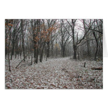 Falling Snow cards by nbrown2 Falling Snow cards
