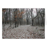 Falling Snow cards