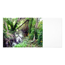 Falling Trees Green River Banks Posterized Customized Photo Card