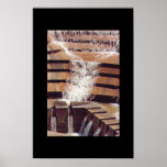 Falling Waters Print