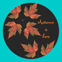 fallleaves, Autumn ishere stickers by jenniekurono fallleaves, Autumn ishere stickers