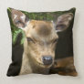 Fallow Deer American MoJo Pillow
