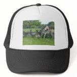 Fallow Deer hats