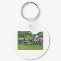 Fallow Deer keychains