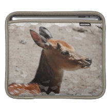 Fallow Deer Profile 11" MacBook Sleeve