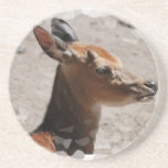 Fallow Deer Profile  Coaster