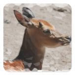Fallow Deer Profile  Sticker