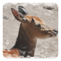 Fallow Deer Profile  Sticker