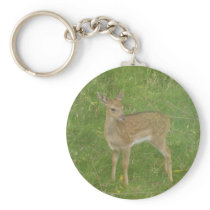 Fallow fawn keychain