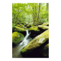 Falls #1 posters by pagefault Falls #1 posters