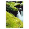 Falls #2 posters
