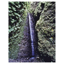 Falls, Fern Canyon, Prairie Creek Personalized Flyer