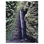 Falls, Fern Canyon, Prairie Creek flyers
