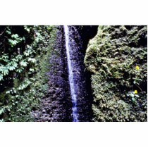 Falls, Fern Canyon, Prairie Creek Acrylic Cut Out