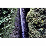 Falls, Fern Canyon, Prairie Creek Acrylic Cut Out
