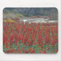 Falls Last Colors Mousepad