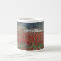Falls Last Colors Mug